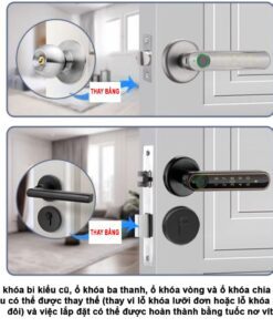 Khóa Thông Minh Avolock